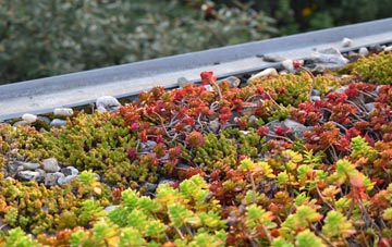 the cost of Trefenter green roof installation