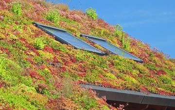 Trefenter living roof systems