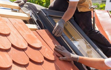 replacement Trefenter roof windows