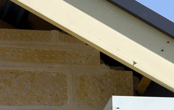soffit repair Trefenter