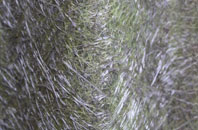 Trefenter fibreglass roof work